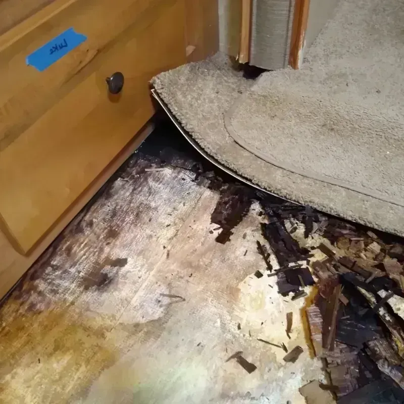 Wood Floor Water Damage in Maricopa, AZ